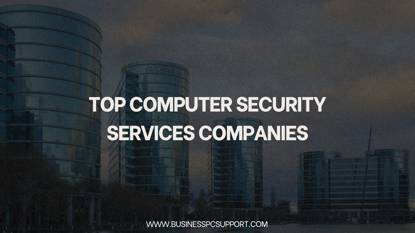 Top Computer Security Services Companies