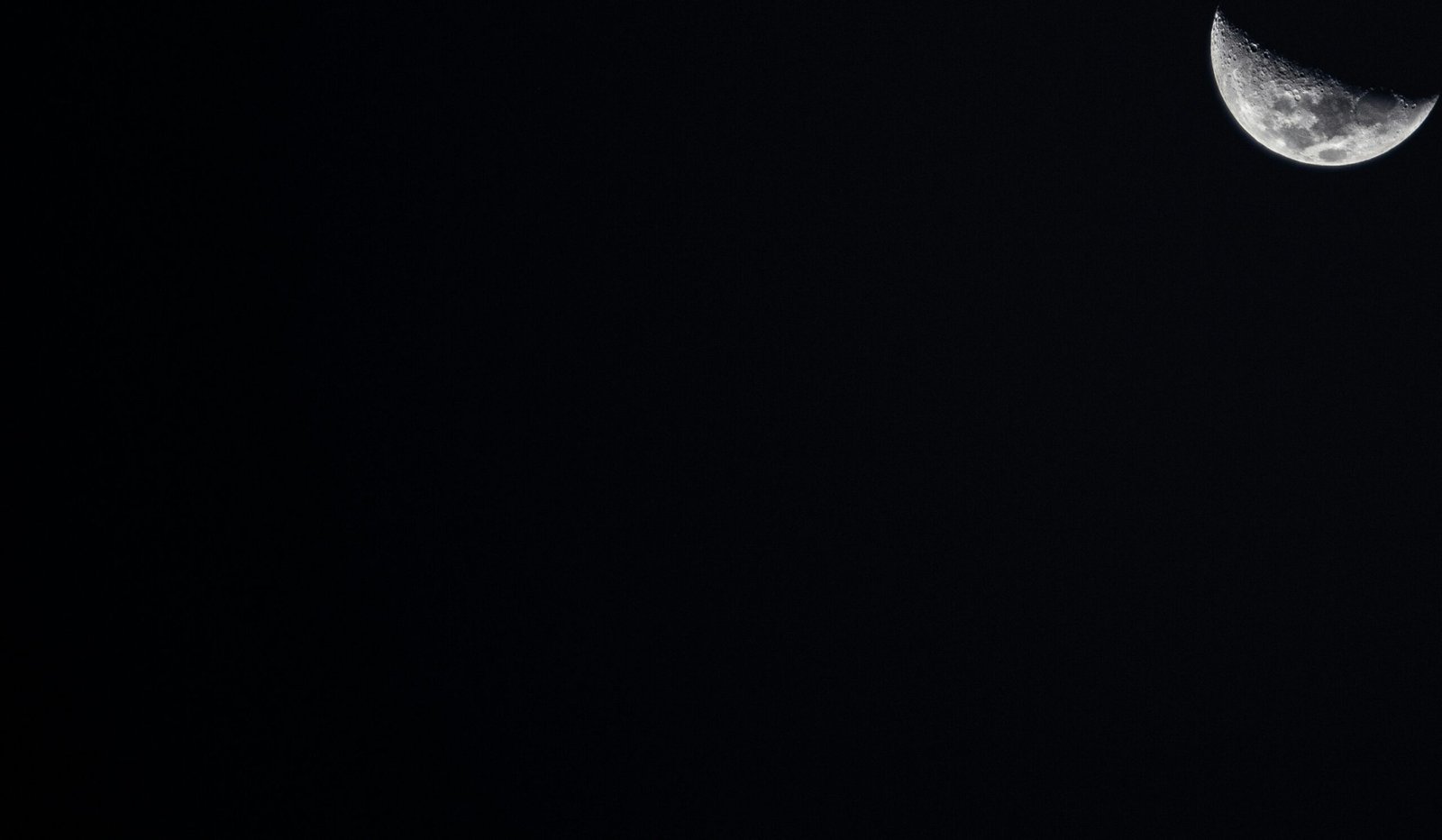 Managed IT support team in action